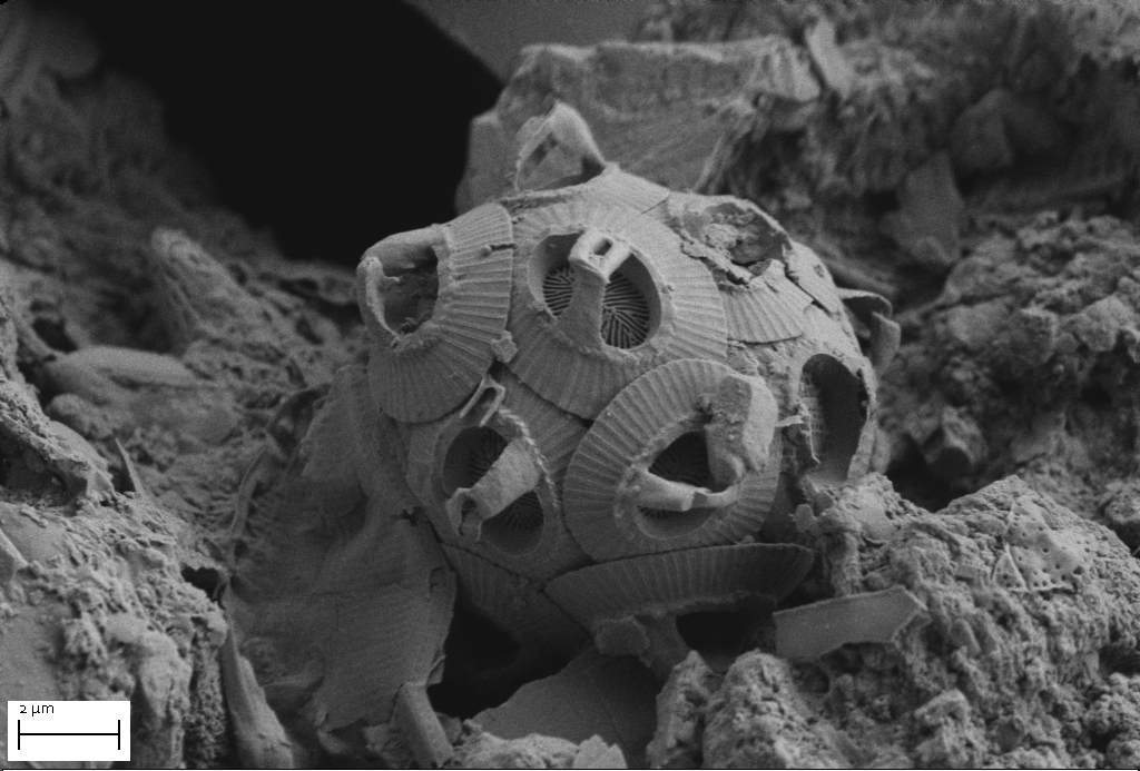 Faculty of Science Image Contest 2021 Grand Prize, Excellence Award, and List of Entries